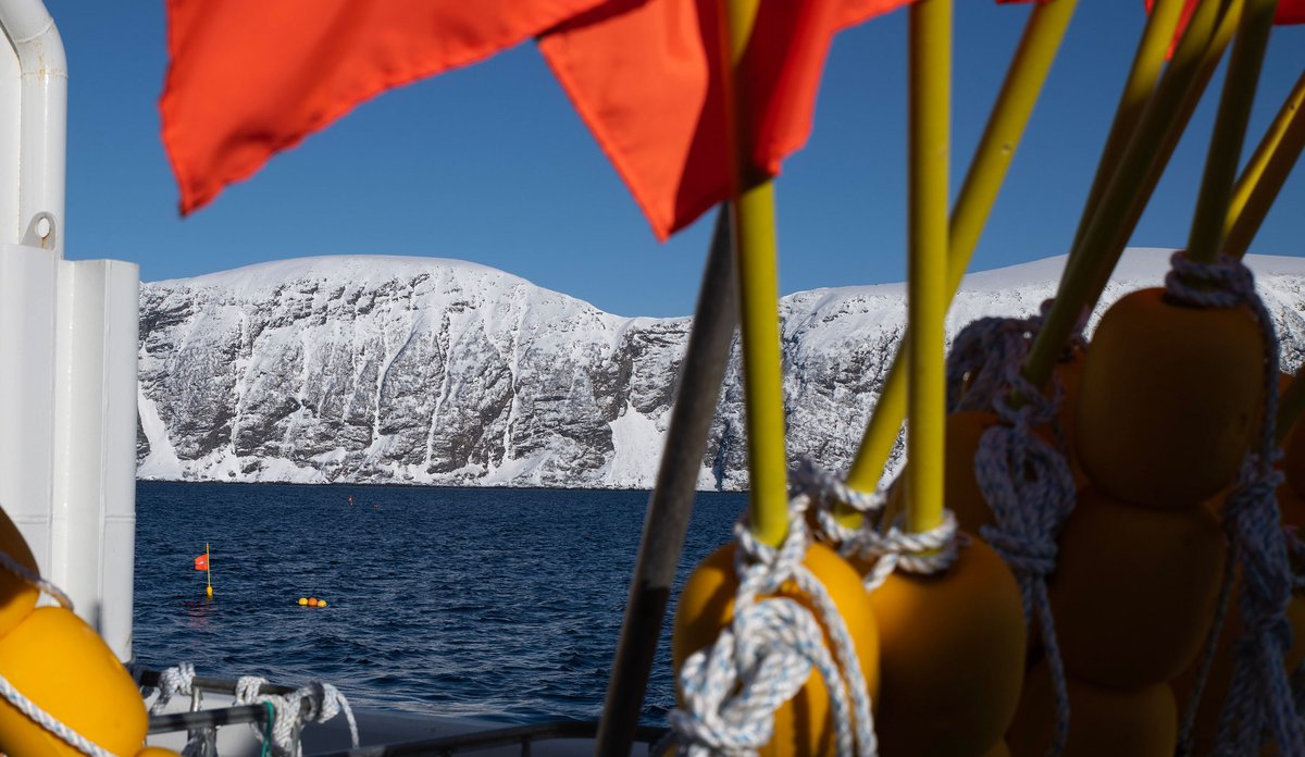 
Bilde tatt fra dekk på en båt. I sjøen flyter det merker fra en utsatt bøye. Snødekte fjell i bakgrunnen.